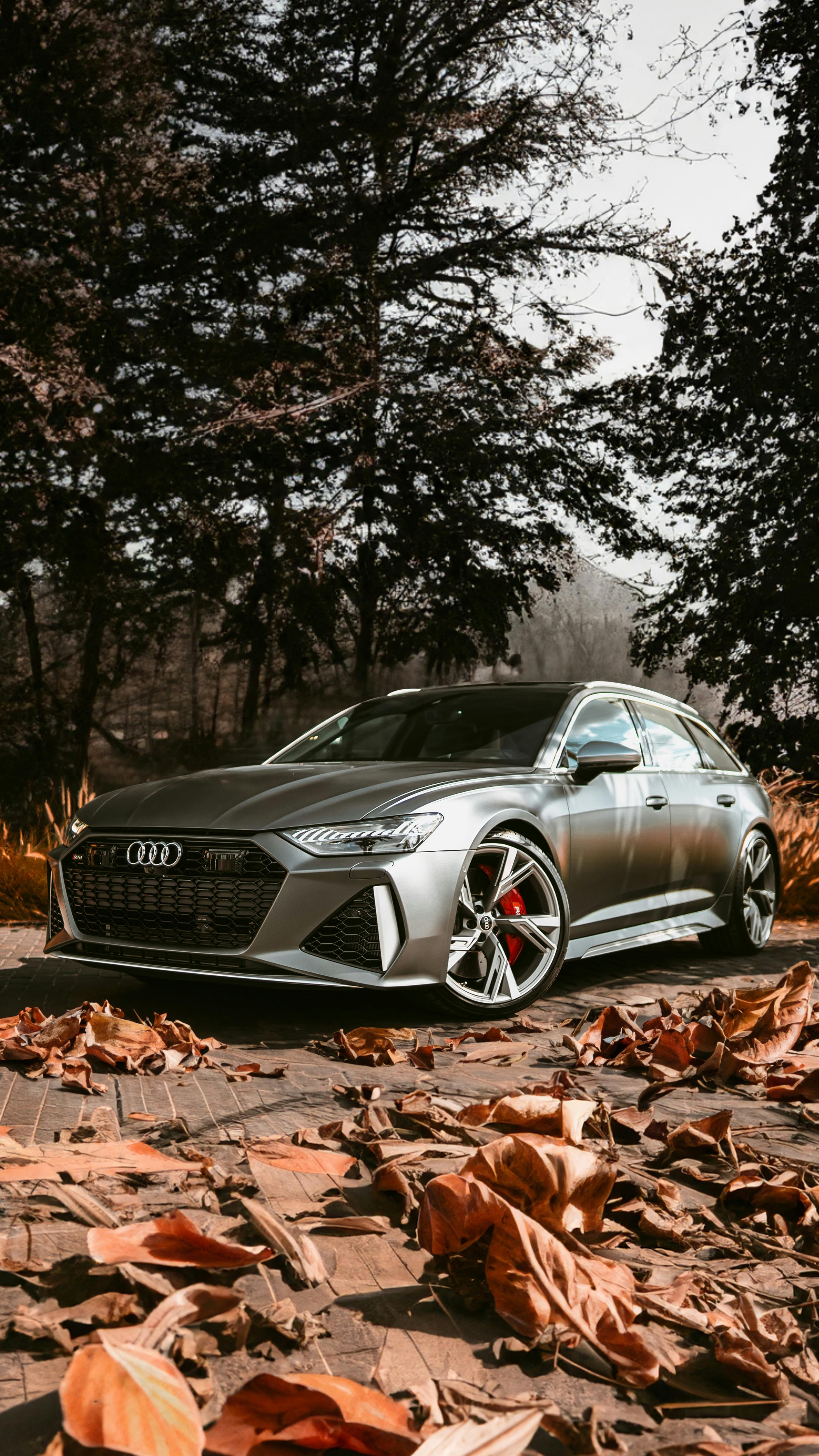 Audi RS6 C8 – EuroCustomsPR