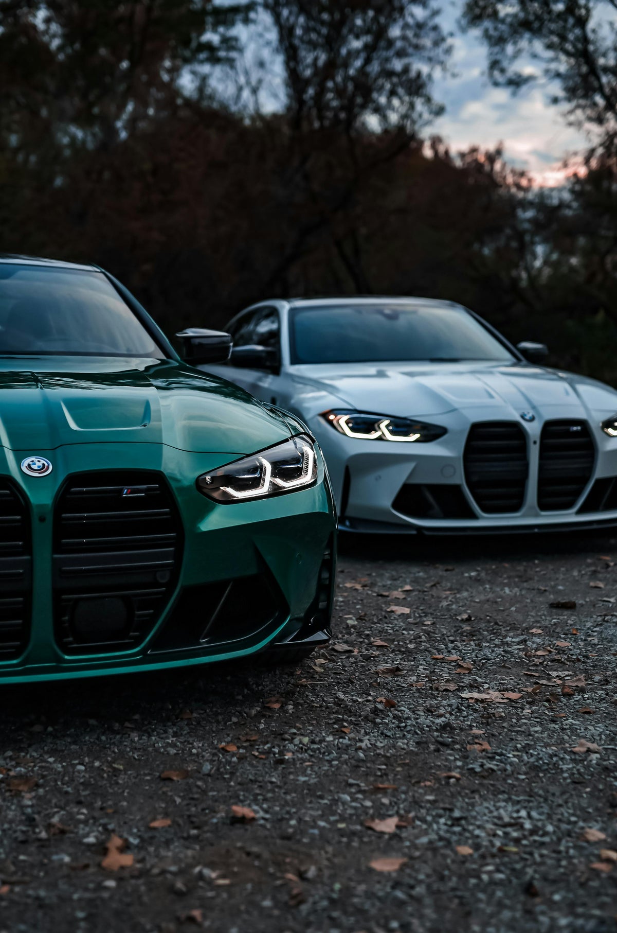 G8X M3 / M4