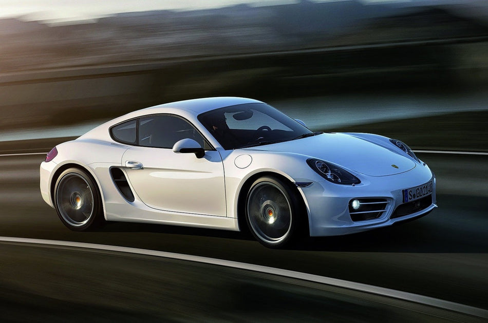 981 Cayman Performance Software