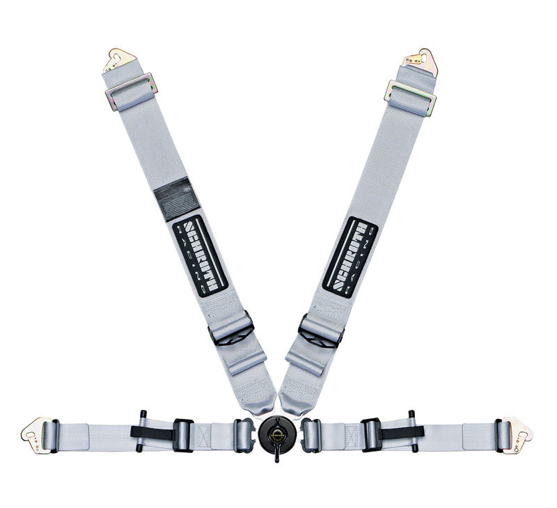 Silver Schroth Profi II ASM 4-point harness