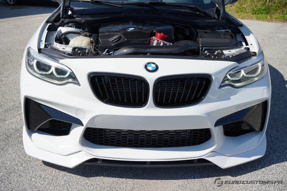 ECPR - Carbon Fiber Lip for F22 with M2 Style Front Bumper